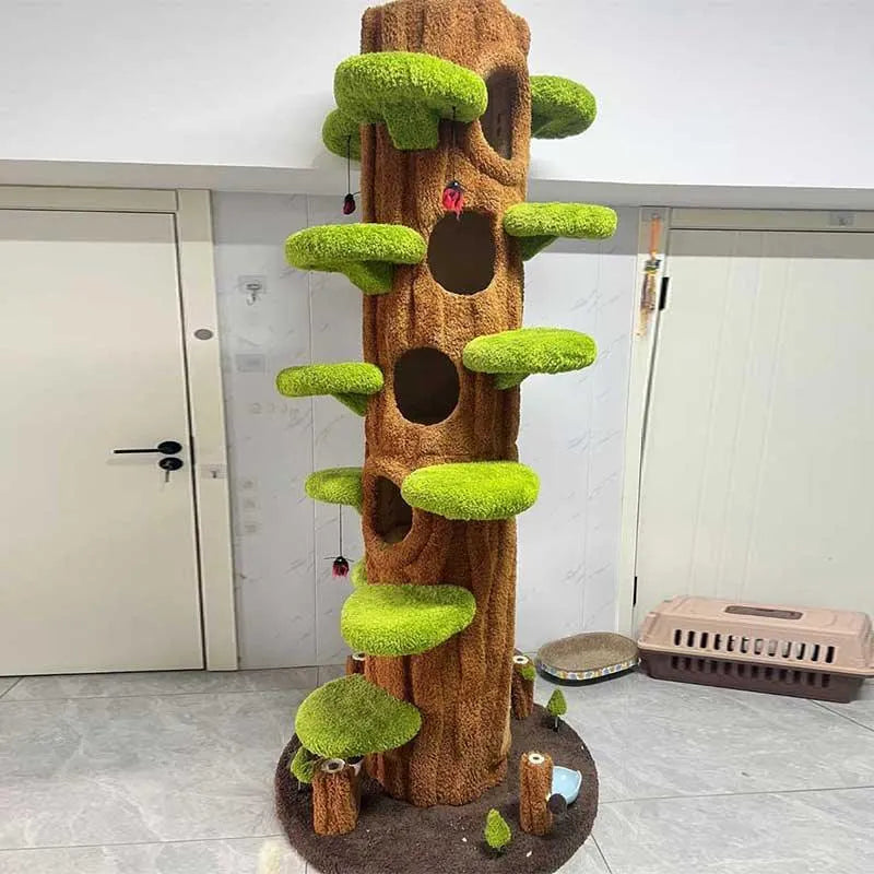 Front view of the Green cat tower showing platforms and enclosed openings
